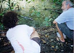 26 Cahuita cocodrilo Roberto.jpg